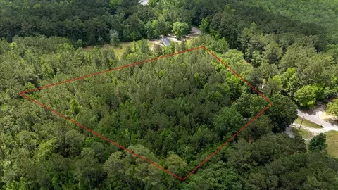 00 Deneaux Rd, Rowesville, SC 29133 photo 26