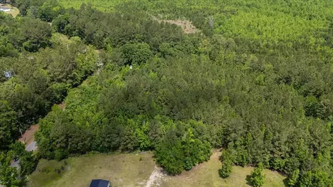 00 Deneaux Rd, Rowesville, SC 29133 photo 39