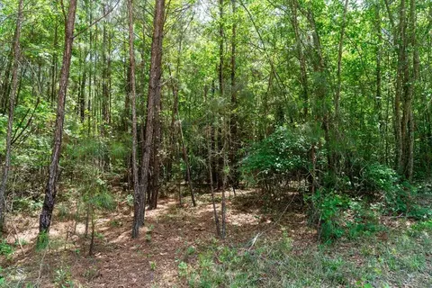 00 Deneaux Rd, Rowesville, SC 29133 photo 10