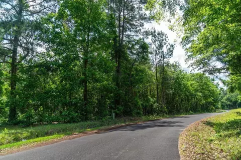 00 Deneaux Rd, Rowesville, SC 29133 photo 9