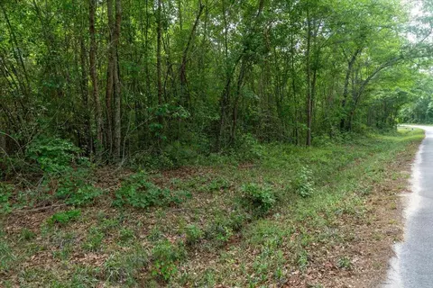 00 Deneaux Rd, Rowesville, SC 29133 photo 11