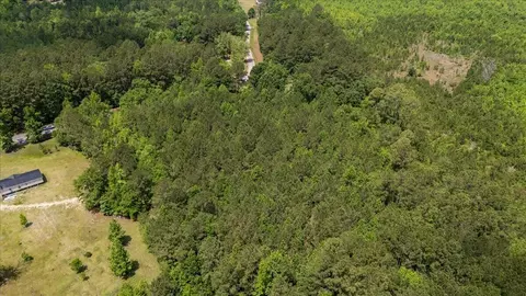 00 Deneaux Rd, Rowesville, SC 29133 photo 33