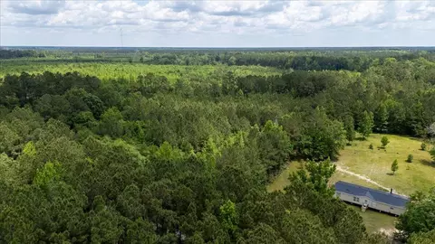 00 Deneaux Rd, Rowesville, SC 29133 photo 14