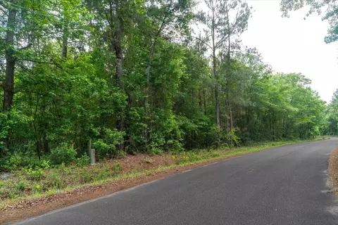 00 Deneaux Rd, Rowesville, SC 29133 photo 4