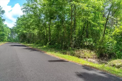 00 Deneaux Rd, Rowesville, SC 29133 photo 2