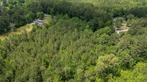 00 Deneaux Rd, Rowesville, SC 29133 photo 28