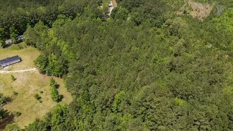 00 Deneaux Rd, Rowesville, SC 29133 photo 35