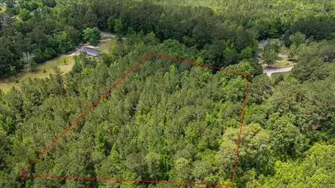 00 Deneaux Rd, Rowesville, SC 29133 photo 29