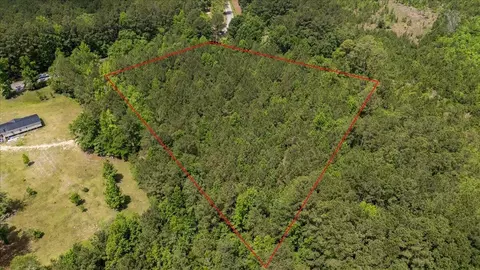 00 Deneaux Rd, Rowesville, SC 29133 photo 36