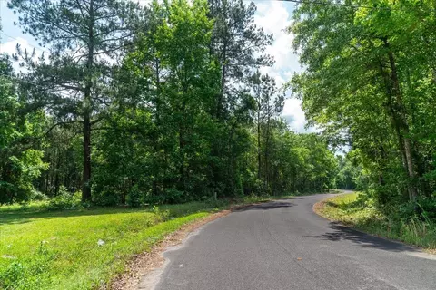 00 Deneaux Rd, Rowesville, SC 29133 photo 8