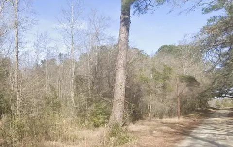 0 Snake Branch Rd, Round O, SC 29474