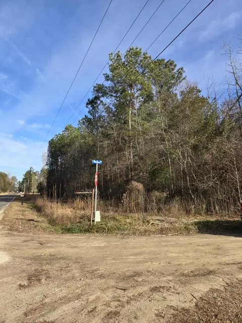 0 Whitestone Dr, Reevesville, SC 29471