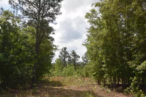 tbd Hawthorne Dr, Kingstree, SC 29556