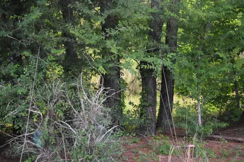 2214 Mc Kinnon Dove Dr, Marion, SC 29571