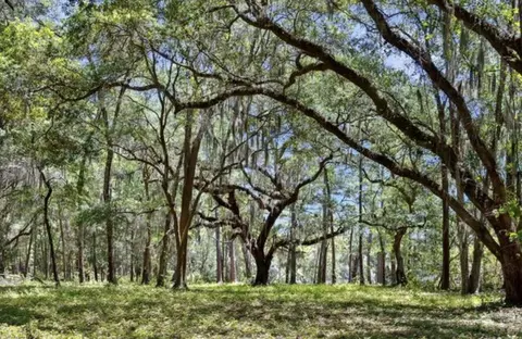 7767 Chaplin Garden Ln, Edisto Island, SC 29438