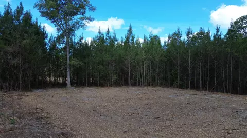4 Highway 311, Cross, SC 29436