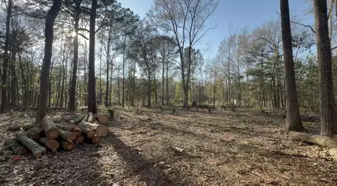 0 Sol Farm Rd, Johns Island, SC 29455