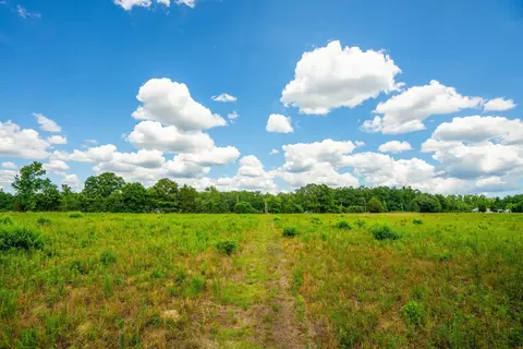 0 Rehoboth Rd, Cottageville, SC 29435