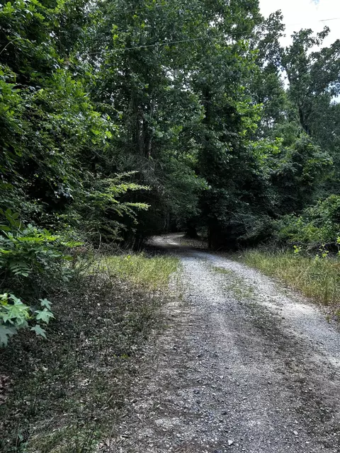 0 Varner Ridge Ln, Ridgeville, SC 29472