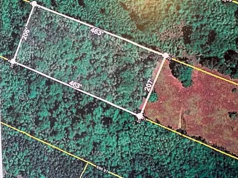 0 Youngs Rd, Eutawville, SC 29048