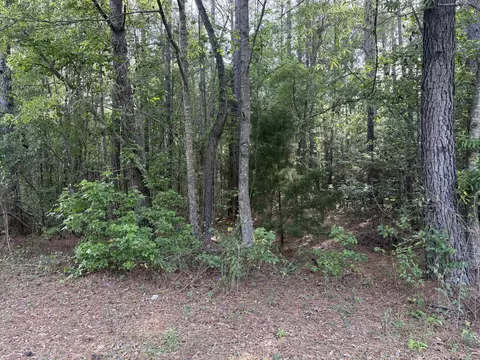00 Sable Ln, Huger, SC 29450 photo 2