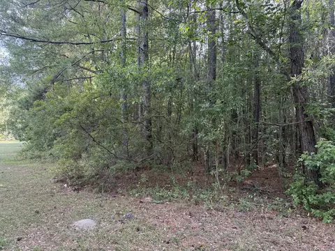 00 Sable Ln, Huger, SC 29450 photo 3