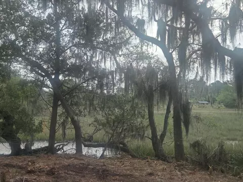 lot5 Hwy 165 Hwy, Meggett, SC 29449