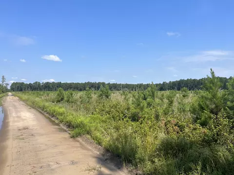0 Mahogany Ln, Orangeburg, SC 29115