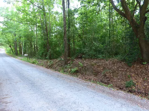 0 Branch Rd, Moncks Corner, SC 29461