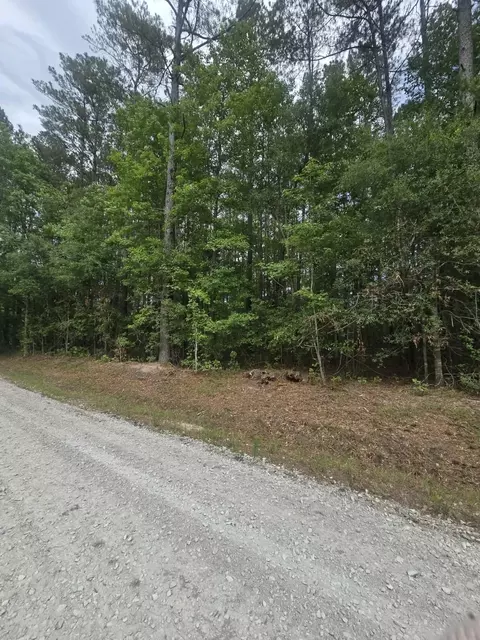 000 Drew Hill Ct, Cottageville, SC 29435