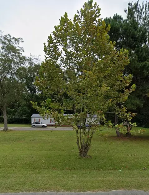 10842 Jefferies, Walterboro, SC 29488