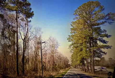 0000 Citadel Rd, Orangeburg, SC 29118