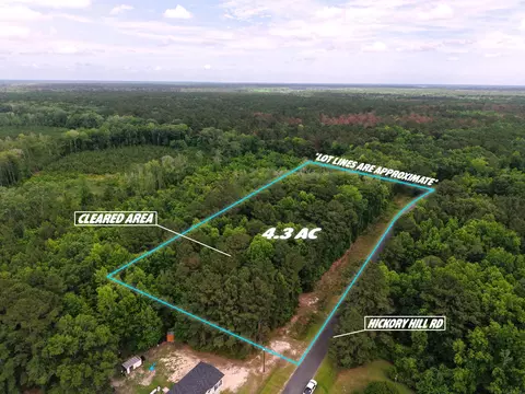 0000 Hickory Hill Rd, Green Pond, SC 29446