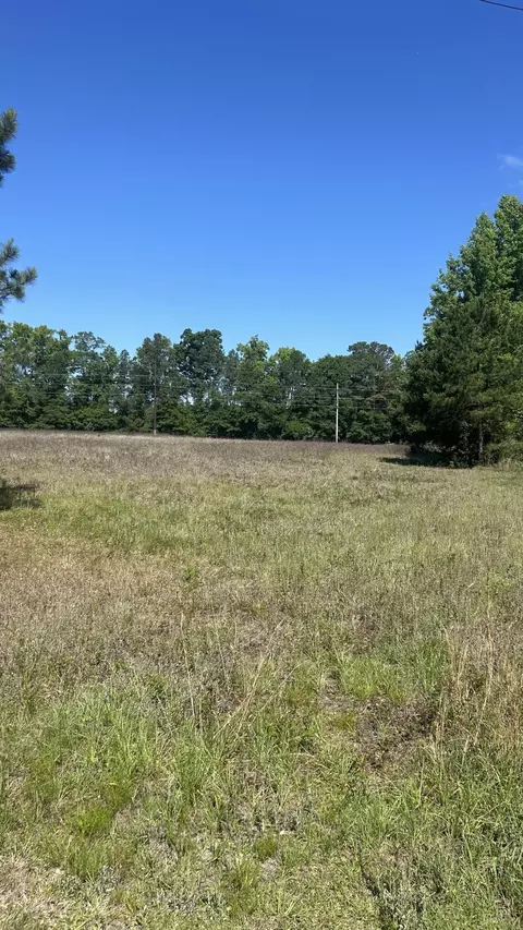 0 Pleasant Grove Rd, Walterboro, SC 29488