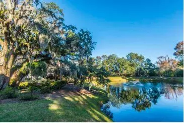 View/Area - 2033 Chatelain Way, Mount Pleasant, SC 29464 photo 1 of 1