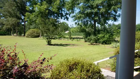 Exterior - 3758 Altman Rd, Hampton, SC 29924 photo 29 of 29