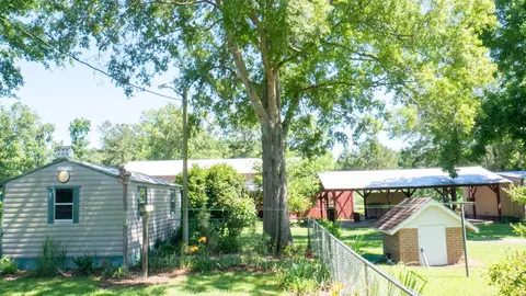 Exterior - 3758 Altman Rd, Hampton, SC 29924 photo 20 of 29