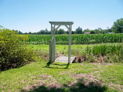 Exterior - 3758 Altman Rd, Hampton, SC 29924 photo 8 of 29