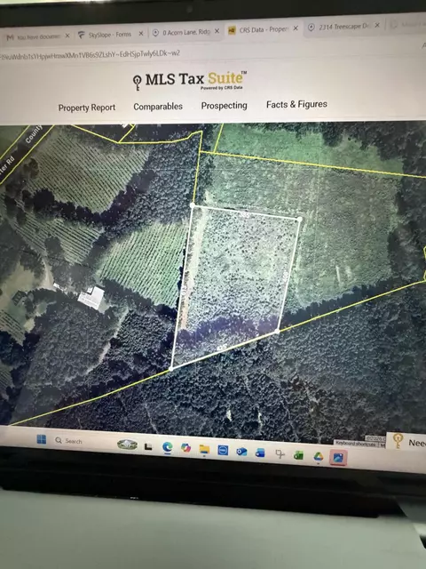 0 Acorn Ln, Ridgeville, SC 29472