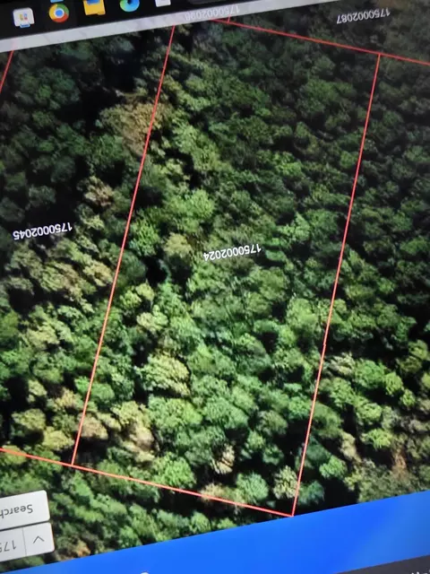 000 Clifford Way, Ridgeville, SC 29472