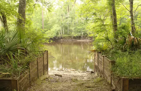 5451 Wire Rd, Branchville, SC 29432