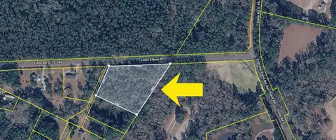 0 Little Elbow Dr, Walterboro, SC 29488