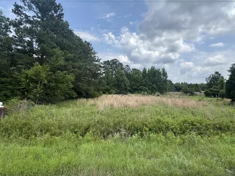 135 Avacodo Dr, Santee, SC 29142