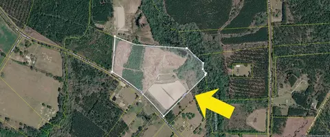0 A Mt Carmel Rd, Walterboro, SC 29488