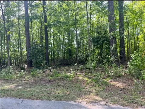 0 Robin Dr, Bamberg, SC 29003 photo 3