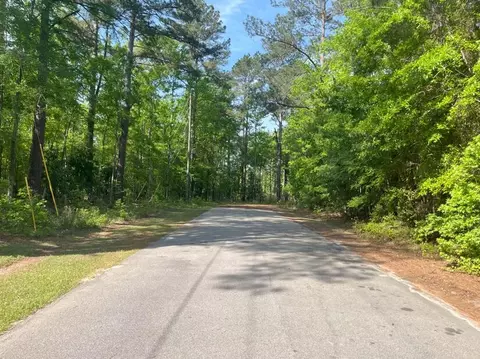 0 Robin Dr, Bamberg, SC 29003 photo 4