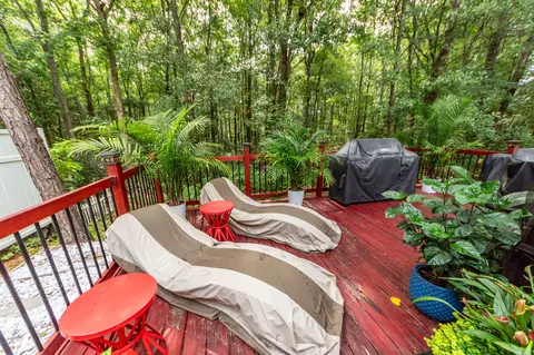 313 Grand Palm Ln, Summerville, SC 29485