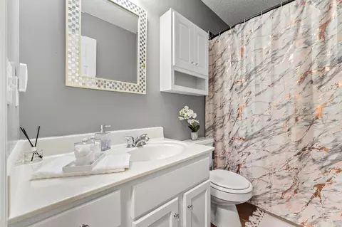 Bath - 226 Emerald Isle Dr, Moncks Corner, SC 29461 photo 3 of 3