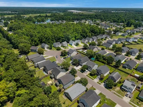 View/Area - 226 Emerald Isle Dr, Moncks Corner, SC 29461 photo 2 of 6