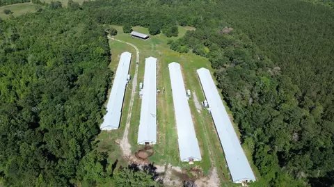 0 Holladay Rd, Manning, SC 29102